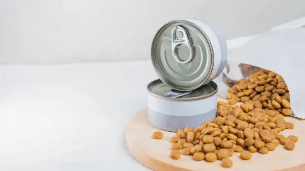 Canned Cat Food