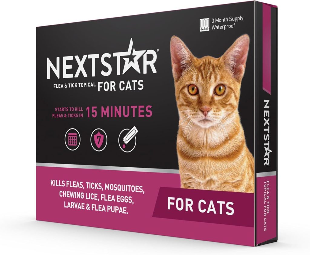 Depo Medrol for Cats