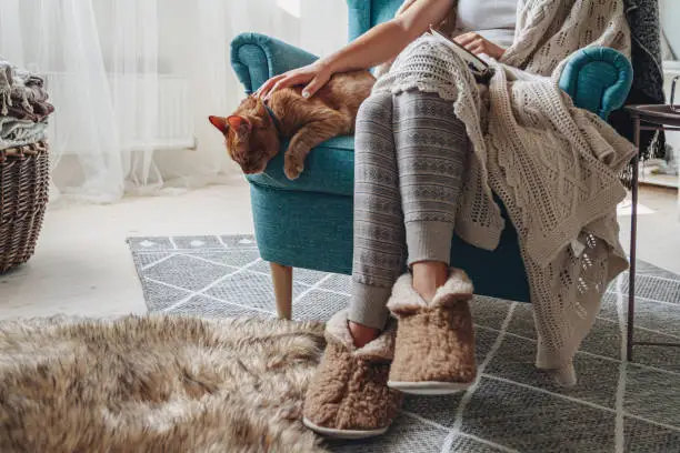 Cat Slippers
