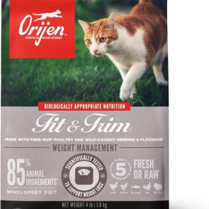 High Protein Premium Dry Cat Food 4lb Bag