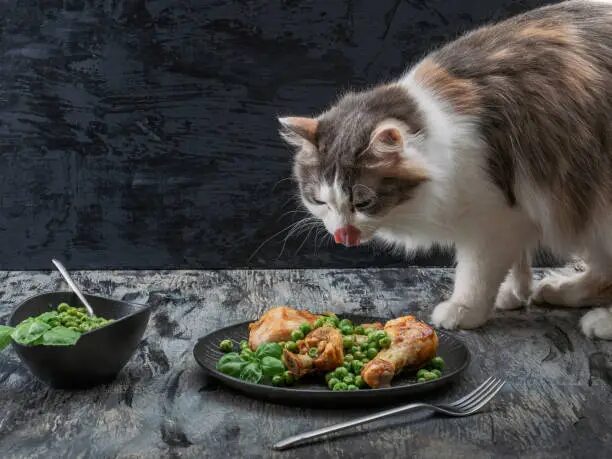 Can Cats Eat Peas?